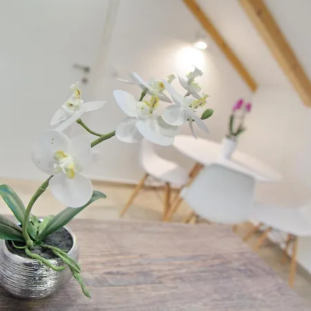 Sweet Escape アパート ドゥブロブニク